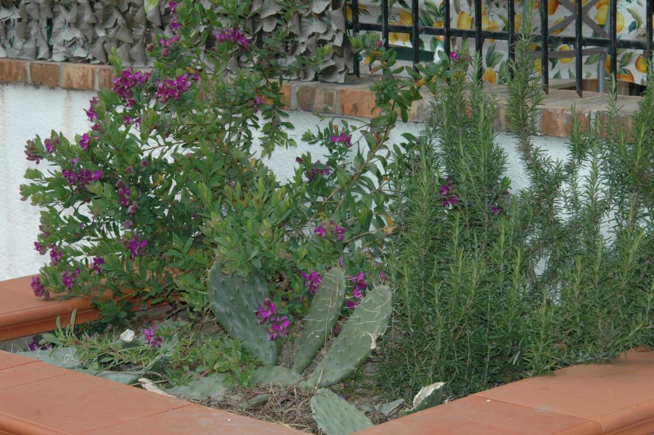 B&B La Terrazza La Caletta Exterior photo